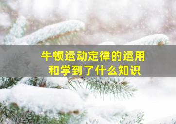 牛顿运动定律的运用 和学到了什么知识